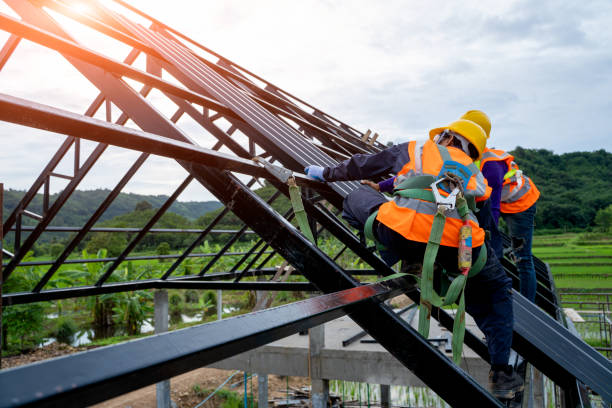 Roof Gutter Cleaning in Buffalo Grove, IL