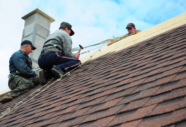 Quick and Trustworthy Emergency Roof Repair Services in Buffalo Grove, IL